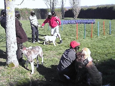 du ranch de michka - une après-midi à l'hopital coeur du bourbonnais