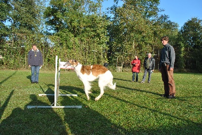 du ranch de michka - photos concours d'obé du 16.10.11