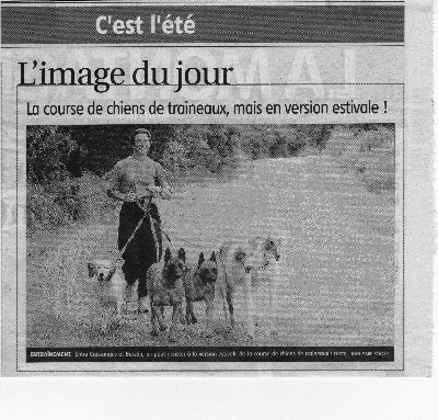 du ranch de michka - revue de presse : canicross du petit matin