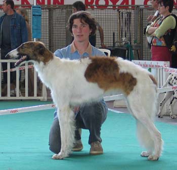 Valkyrie du ranch de michka