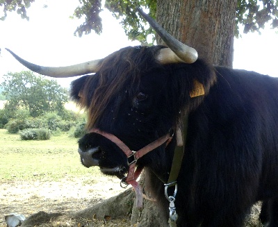 du ranch de michka - la p'tite nouvelle :)